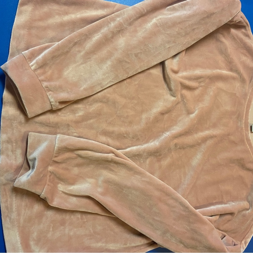 Velvet Sweatshirt
